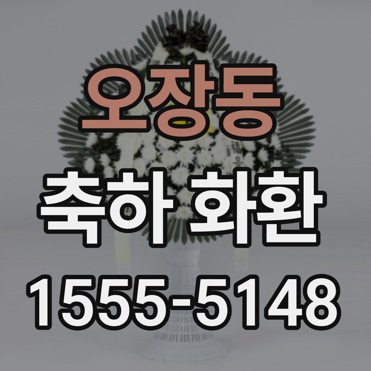 오장동 축하 화환