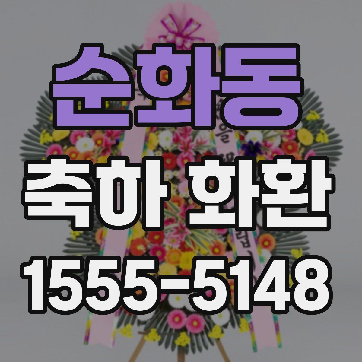 순화동 축하 화환