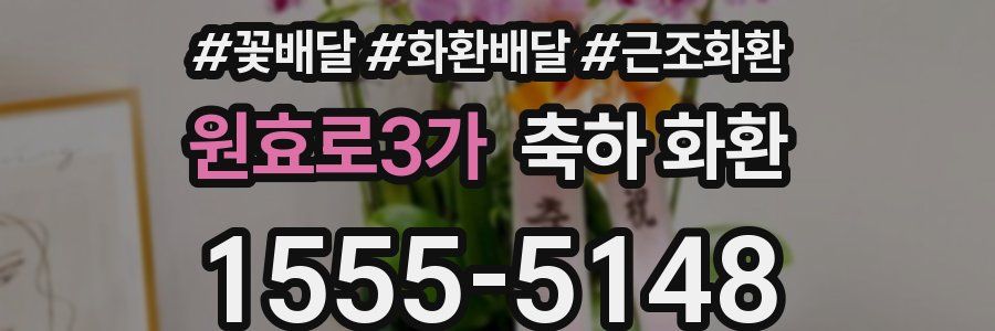 원효로3가 축하 화환