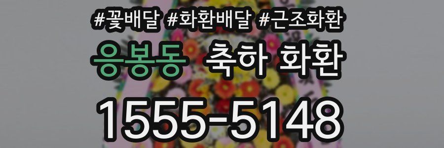 응봉동 축하 화환