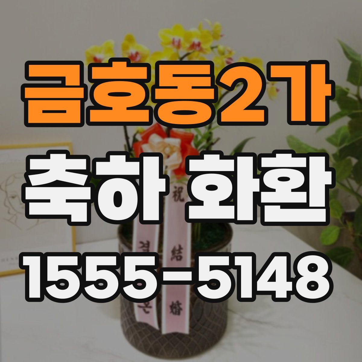 금호동2가 축하 화환