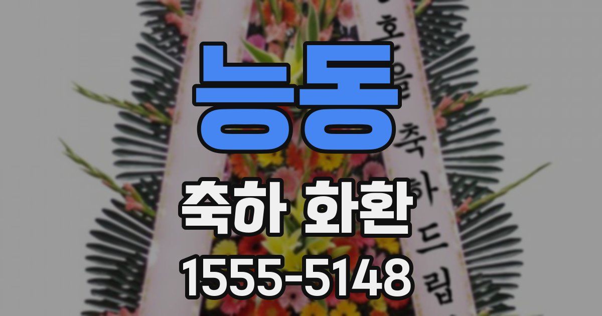 능동 축하 화환