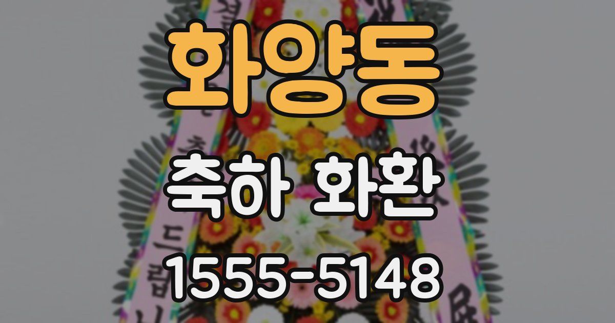 화양동 축하 화환
