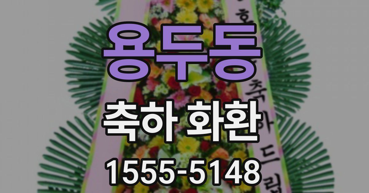 용두동 축하 화환