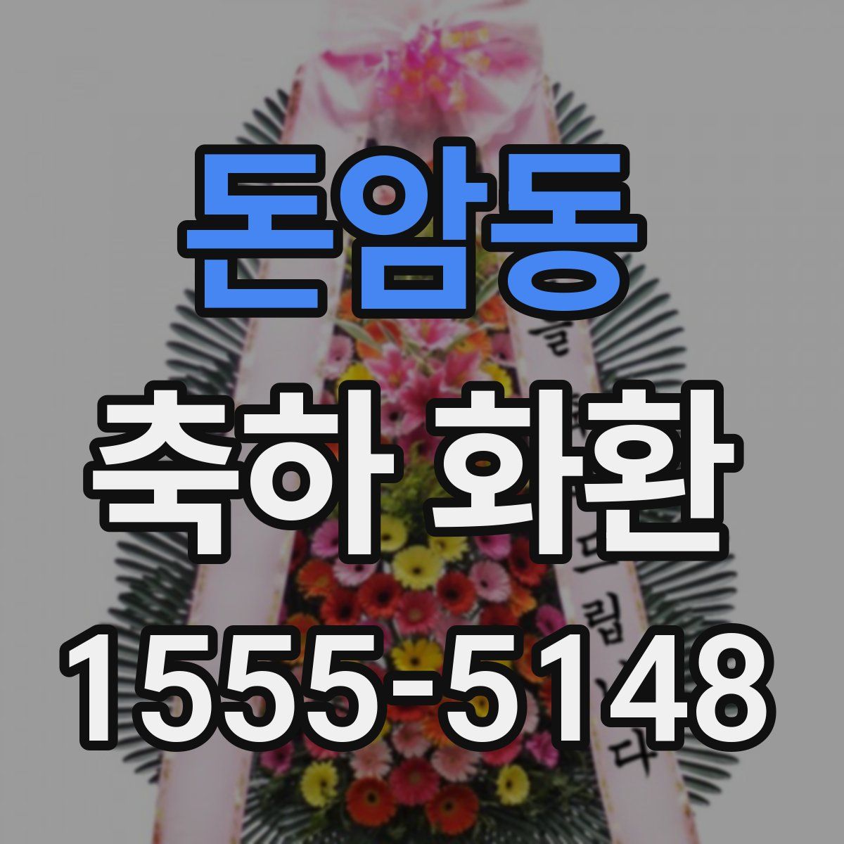 돈암동 축하 화환