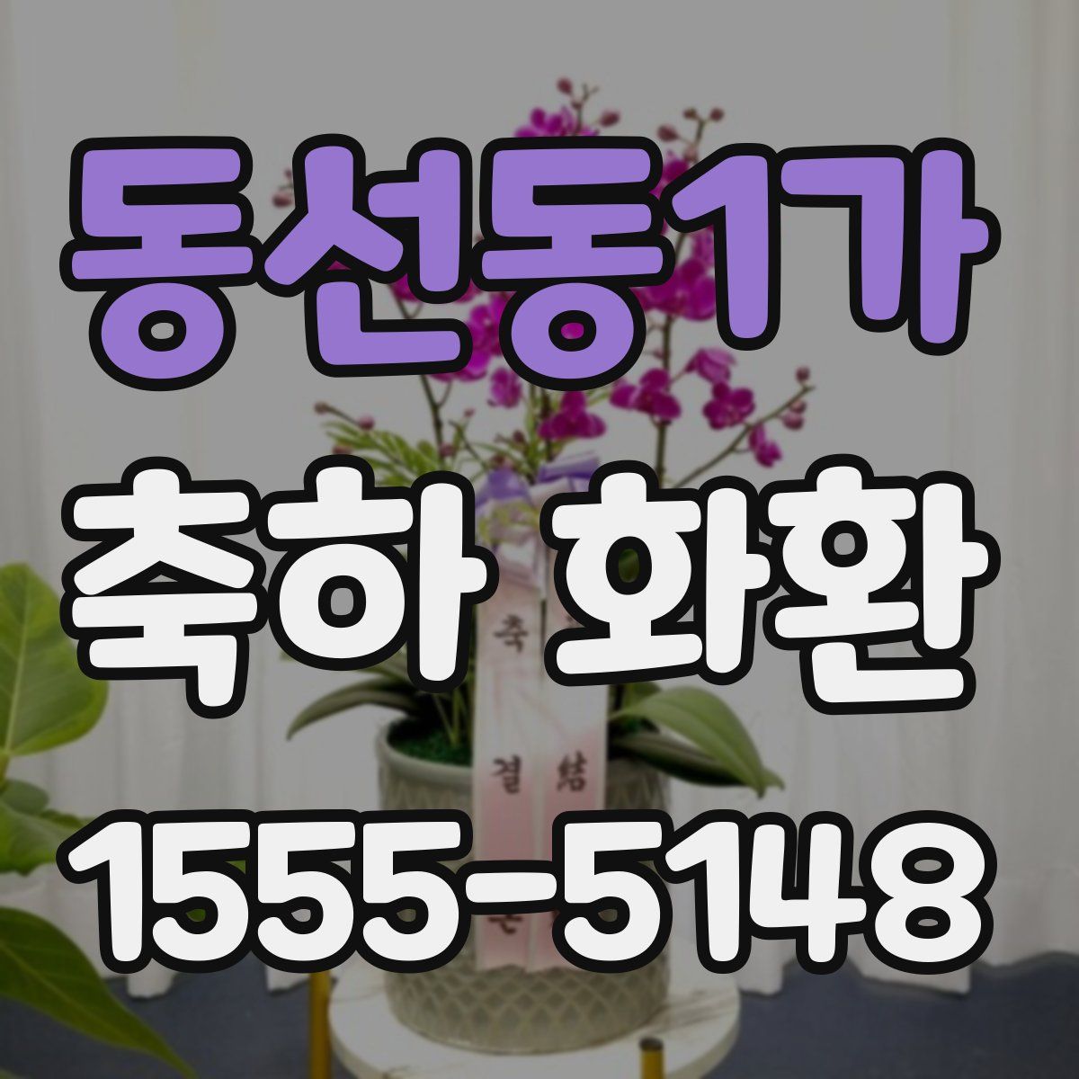 동선동1가 축하 화환