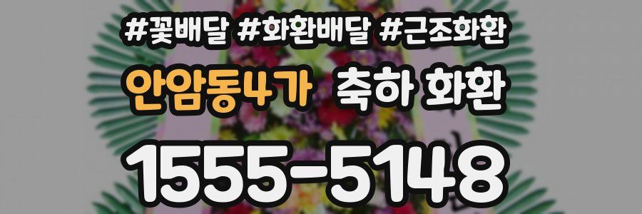 안암동4가 축하 화환