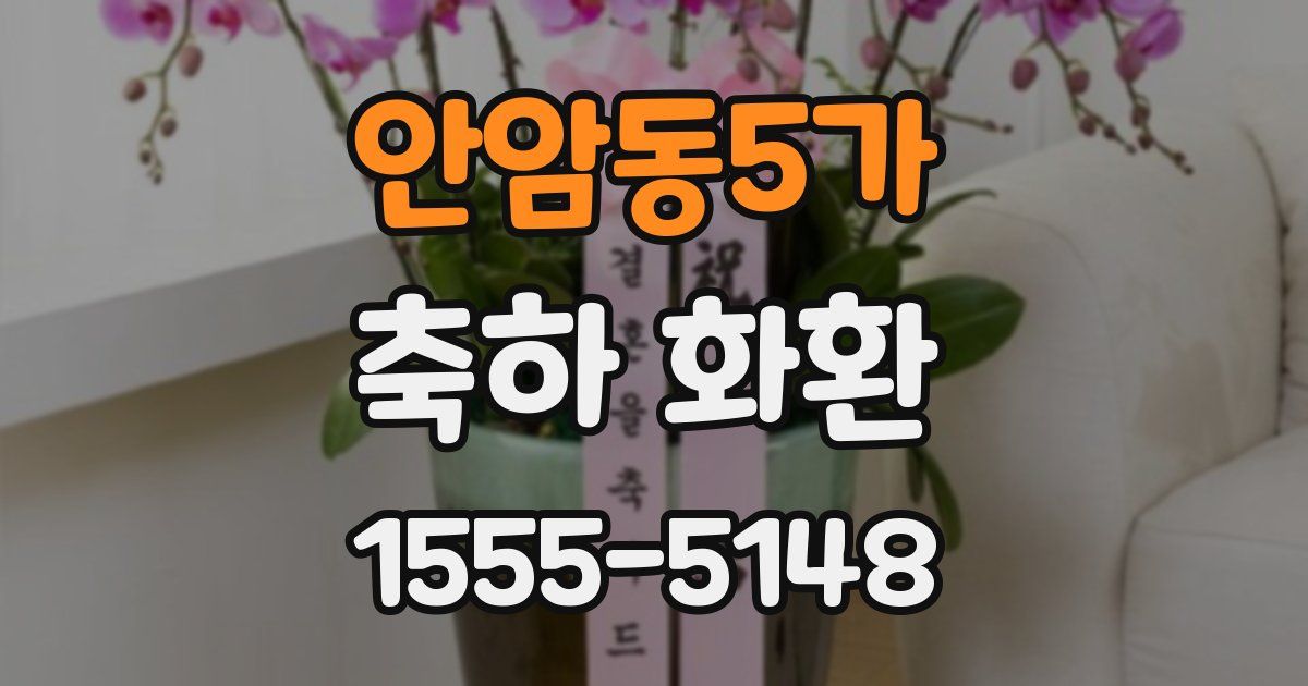 안암동5가 축하 화환