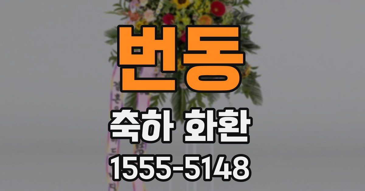번동 축하 화환