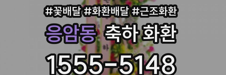 응암동 축하 화환