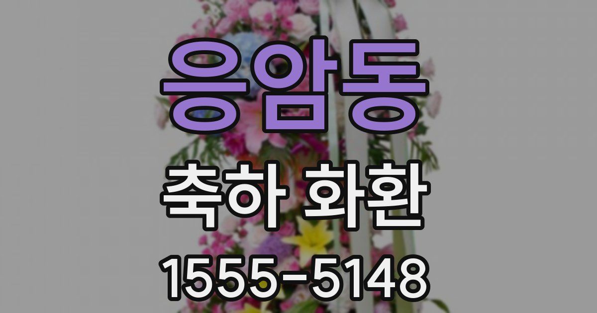 응암동 축하 화환