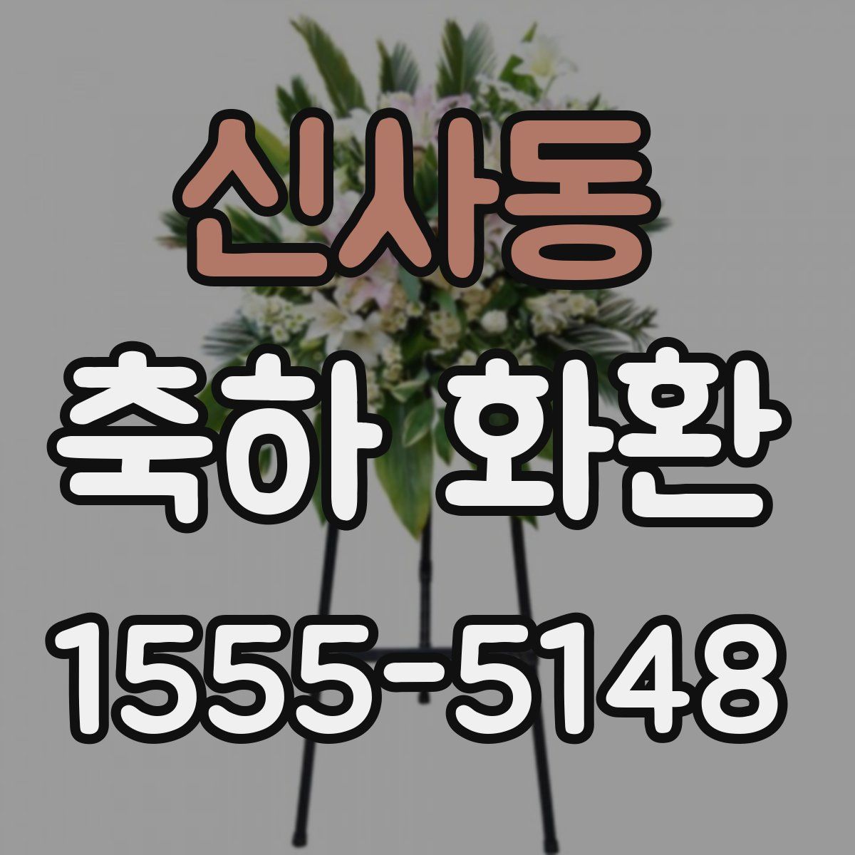신사동 축하 화환