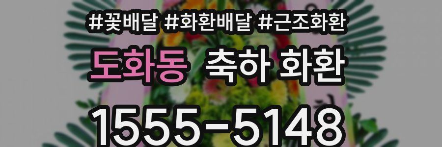 도화동 축하 화환