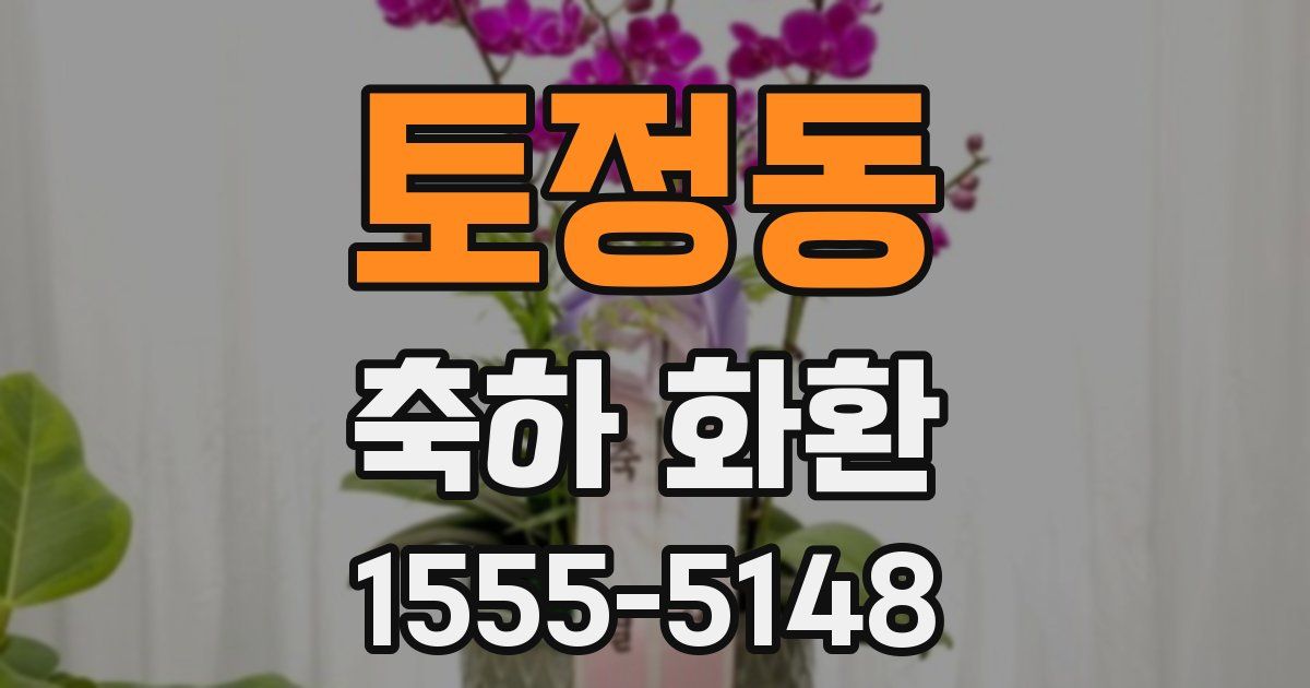 토정동 축하 화환