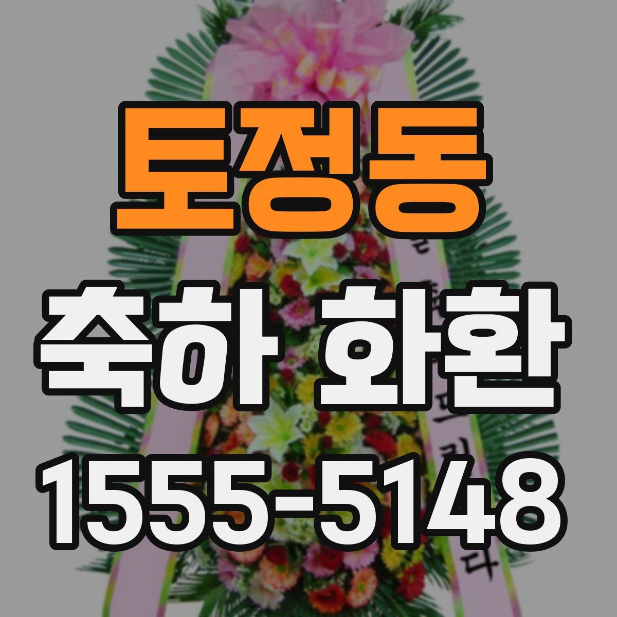 토정동 축하 화환
