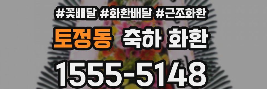 토정동 축하 화환