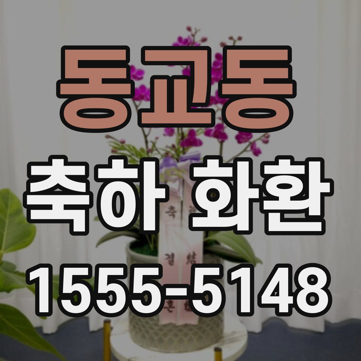 동교동 축하 화환