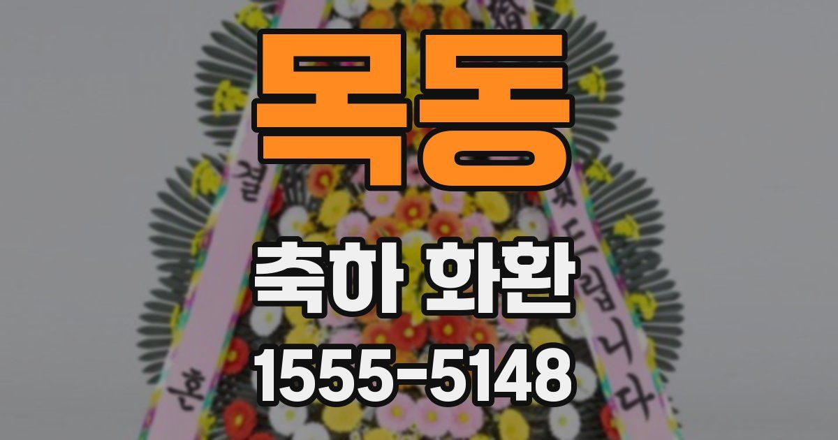 목동 축하 화환