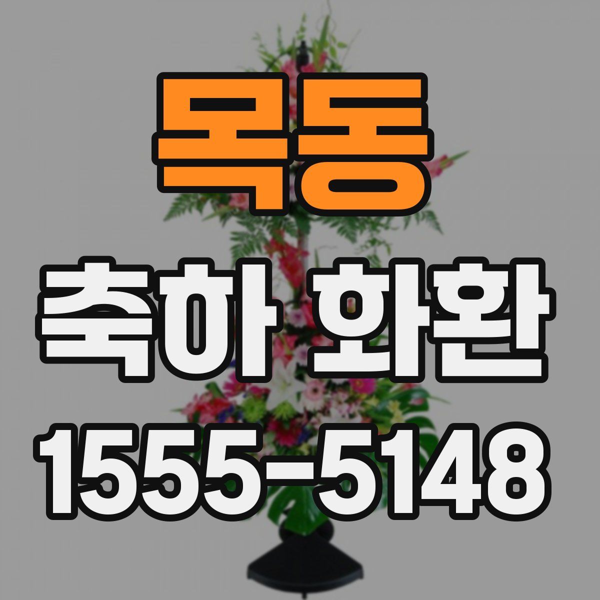 목동 축하 화환