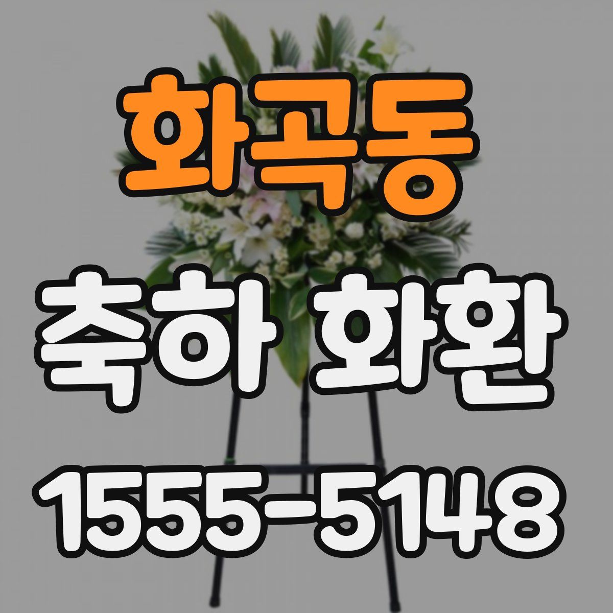 화곡동 축하 화환