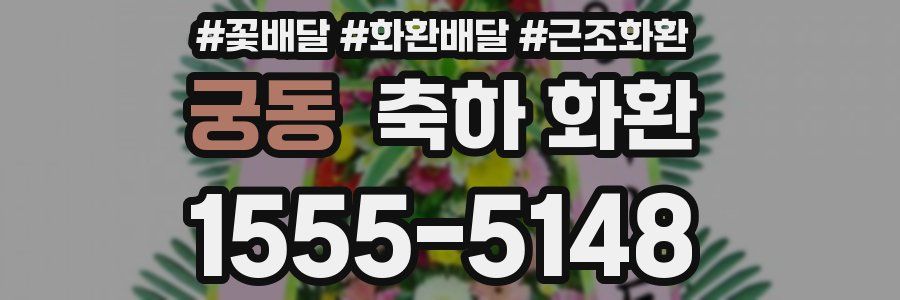 궁동 축하 화환