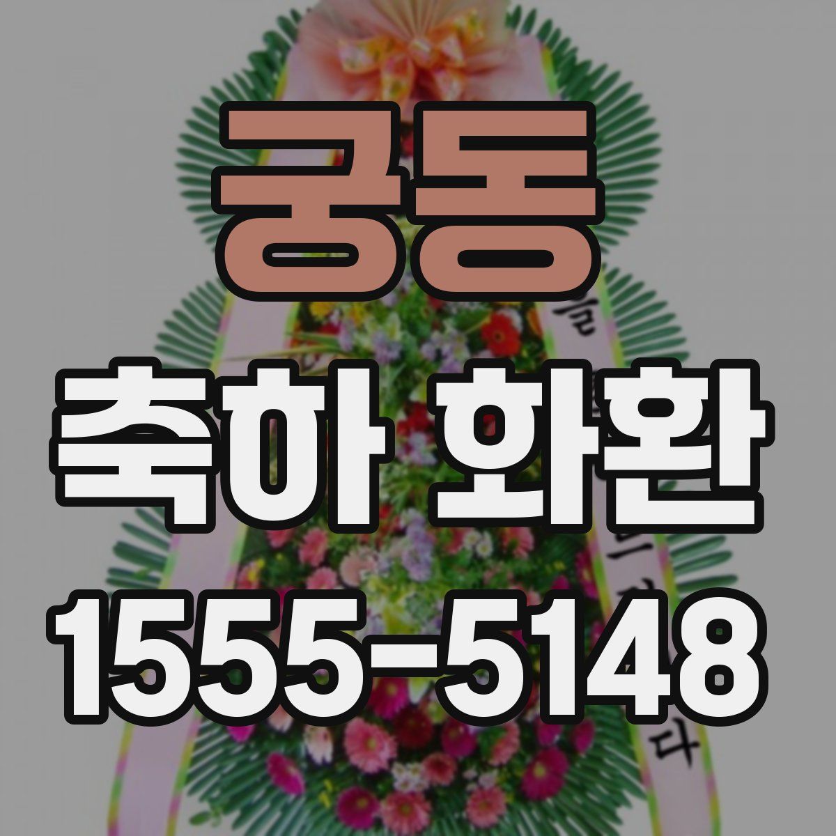 궁동 축하 화환