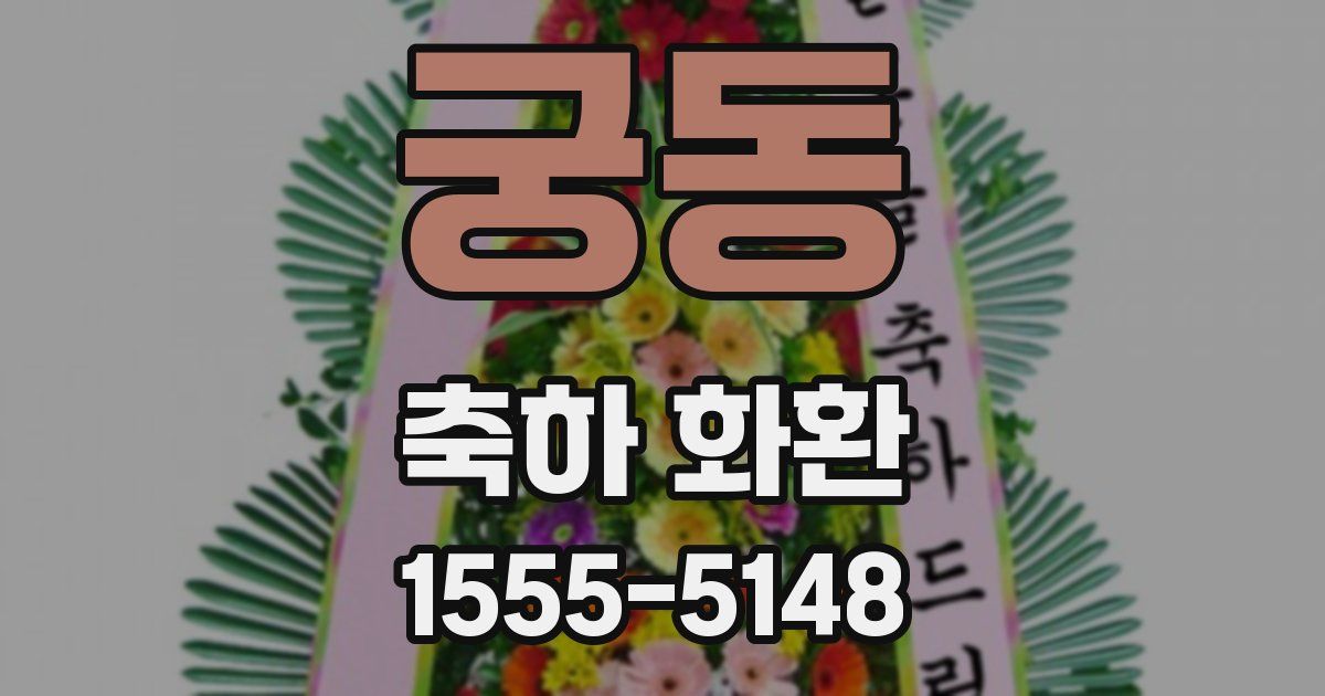 궁동 축하 화환