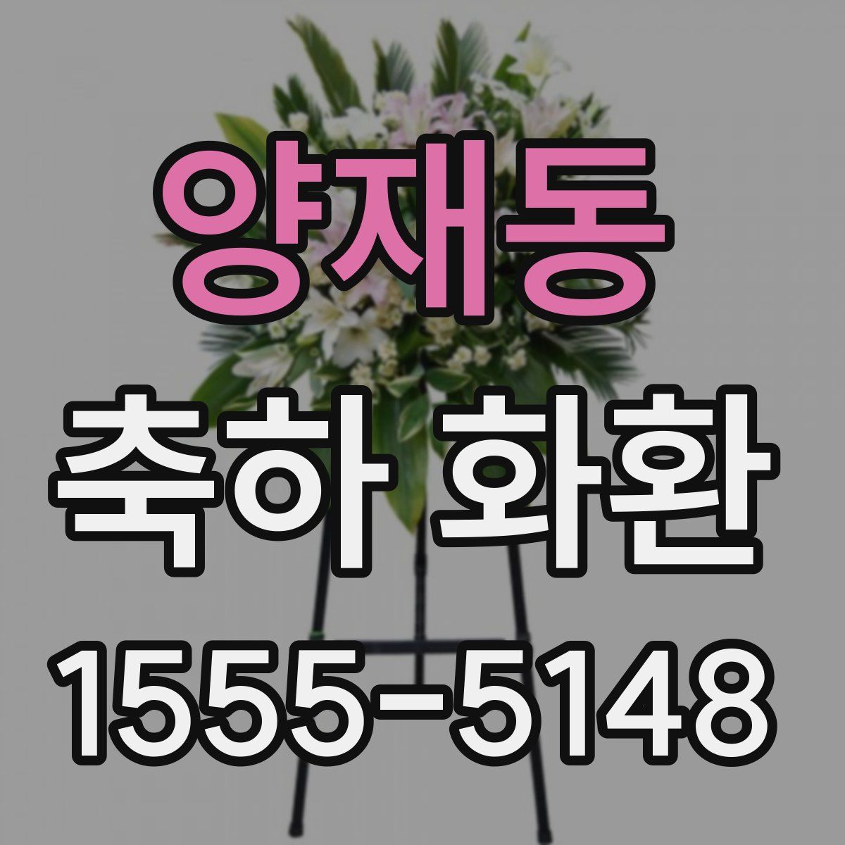 양재동 축하 화환