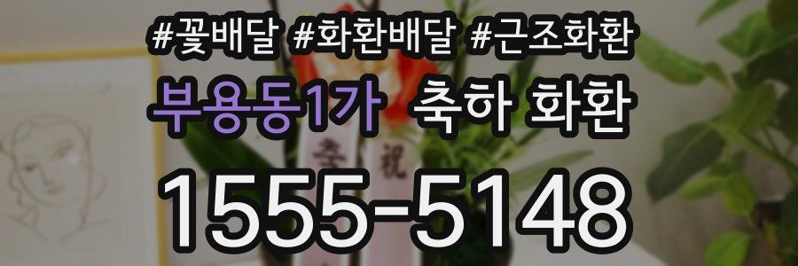 부용동1가 축하 화환