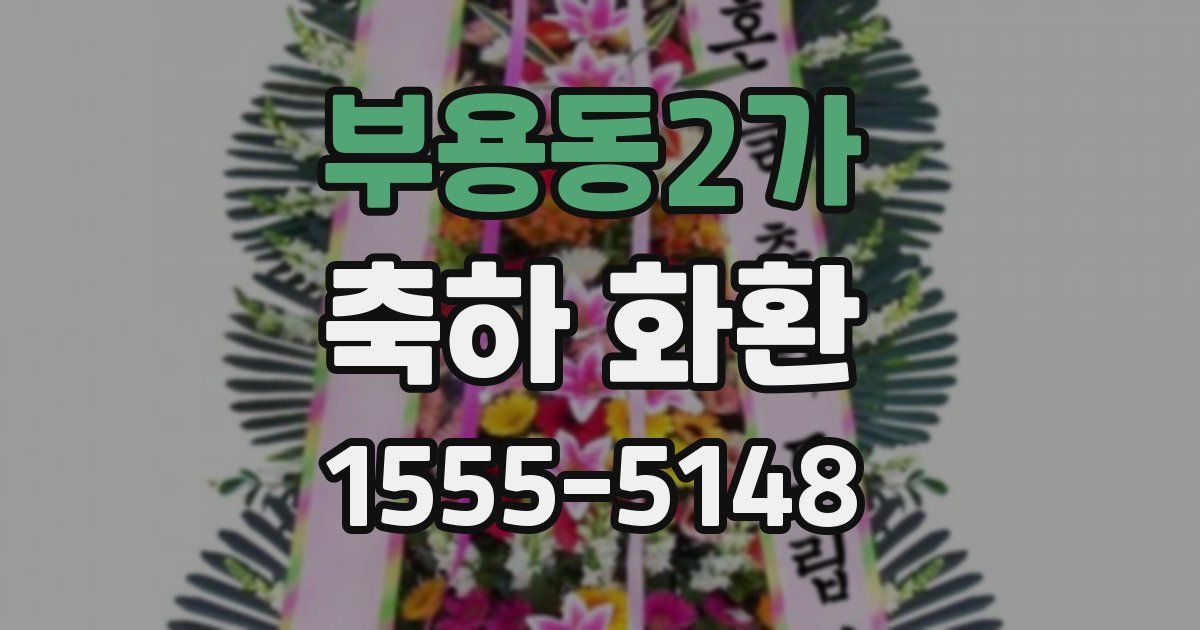 부용동2가 축하 화환