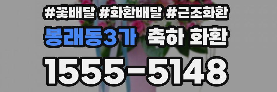 봉래동3가 축하 화환