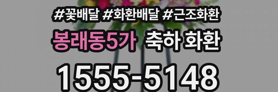 봉래동5가 축하 화환