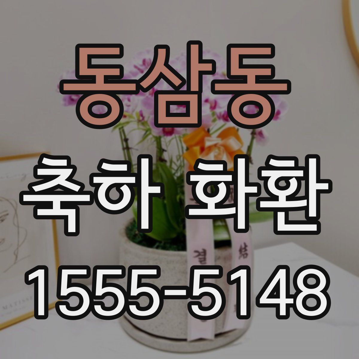동삼동 축하 화환