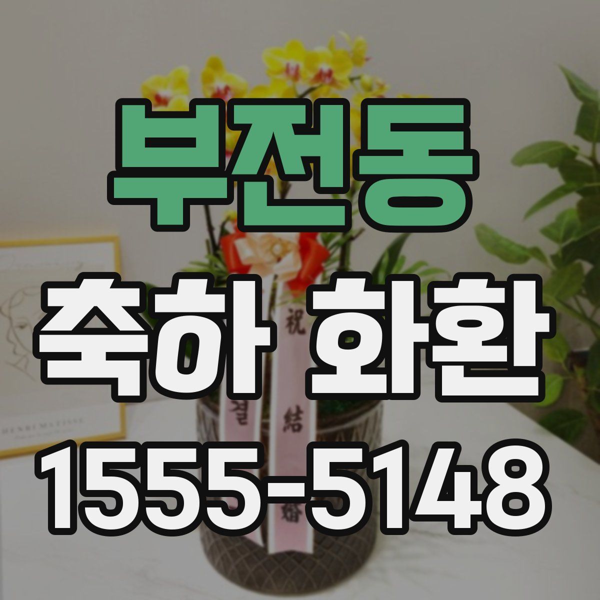 부전동 축하 화환