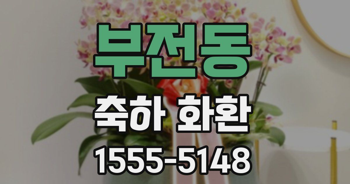부전동 축하 화환