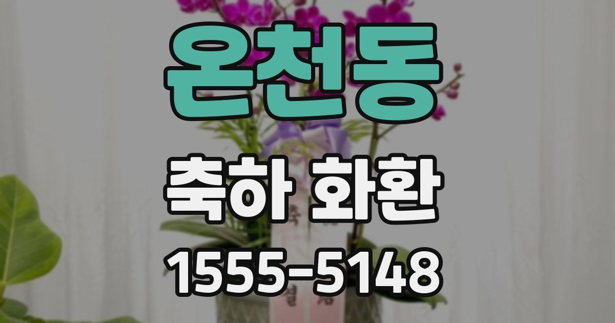온천동 축하 화환