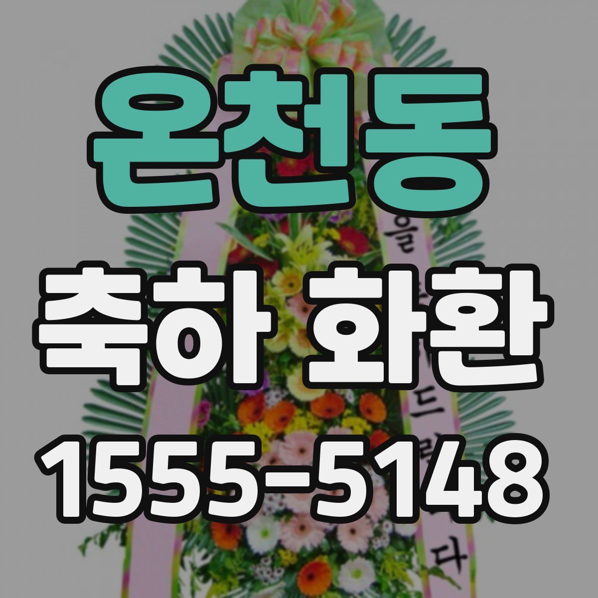 온천동 축하 화환
