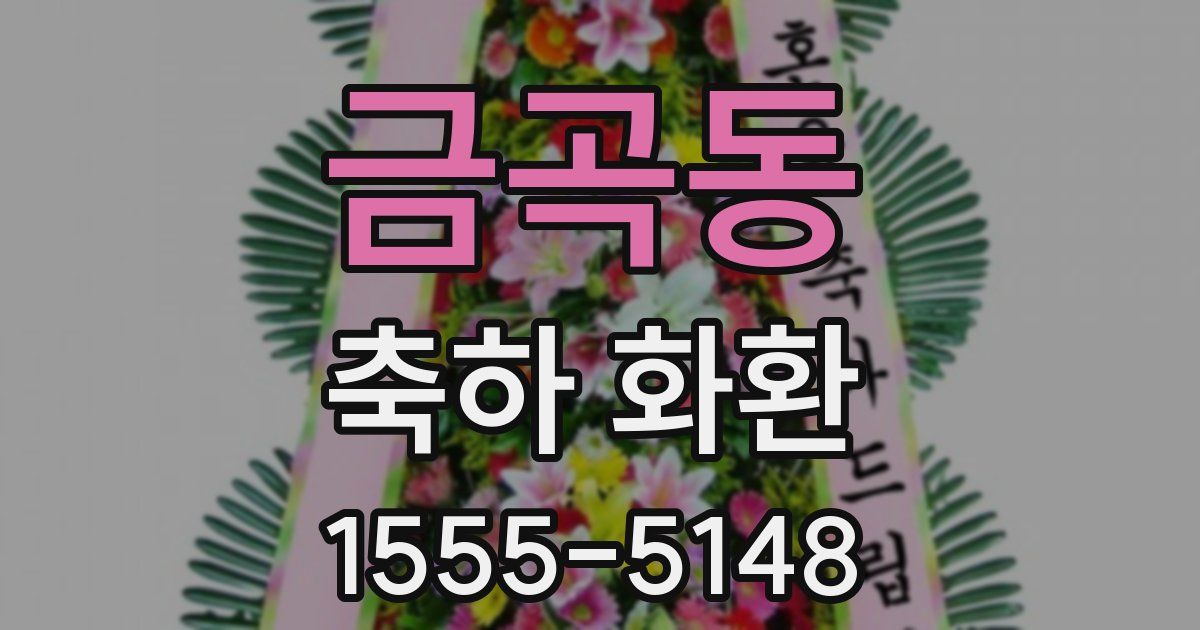금곡동 축하 화환