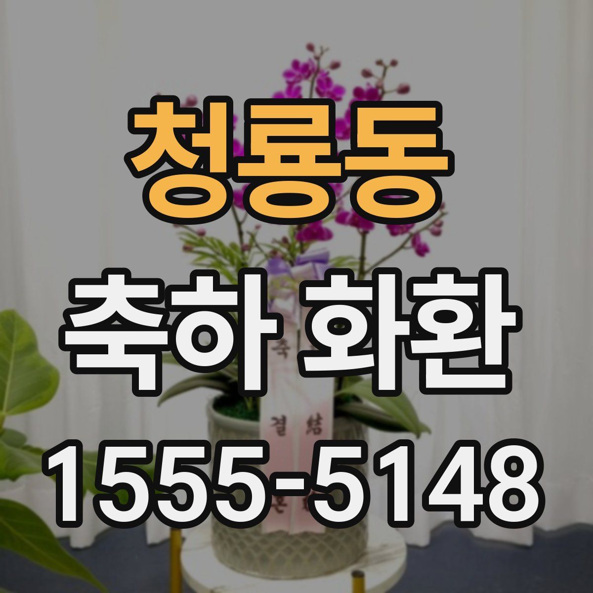 청룡동 축하 화환