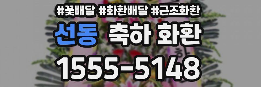 선동 축하 화환