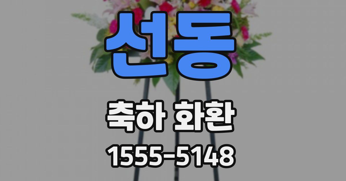 선동 축하 화환