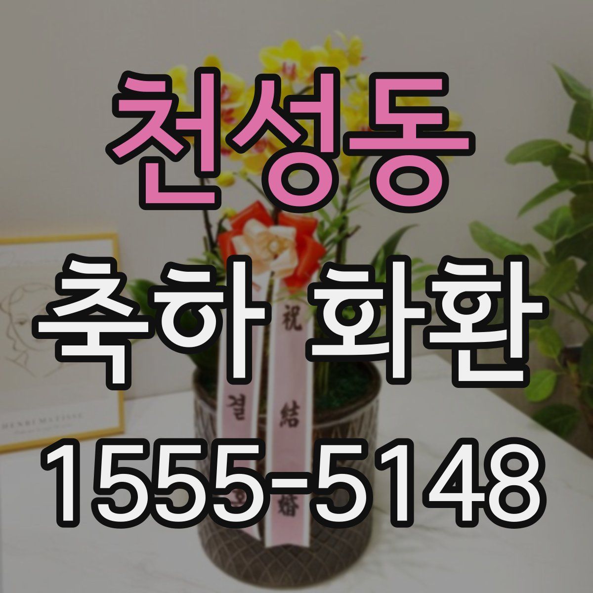 천성동 축하 화환