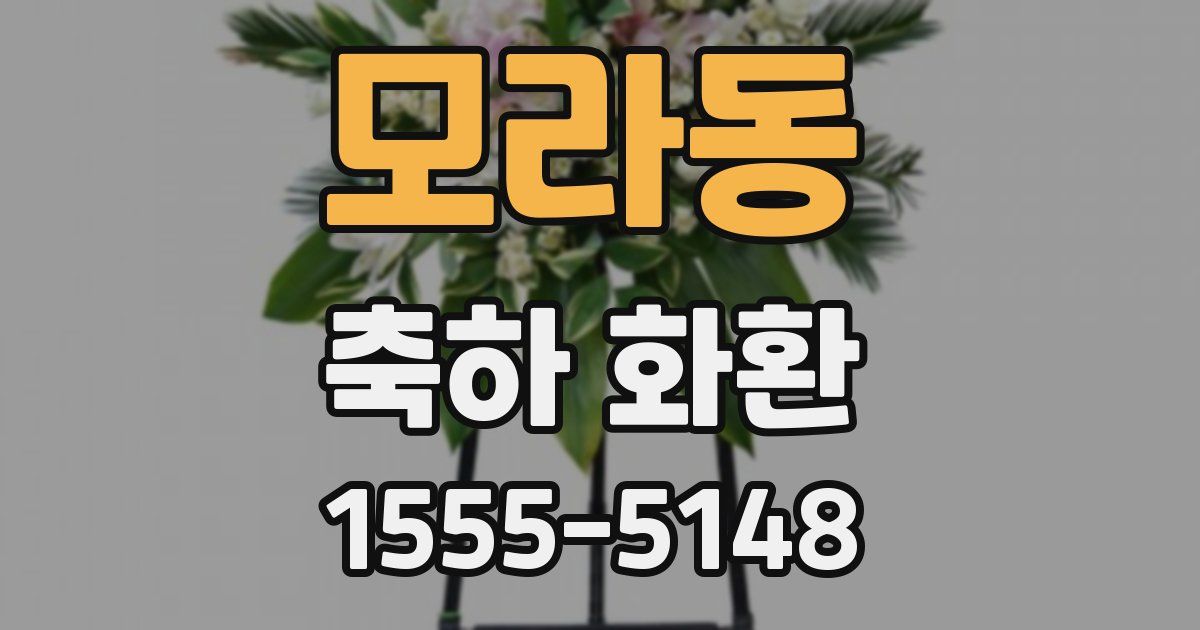 모라동 축하 화환