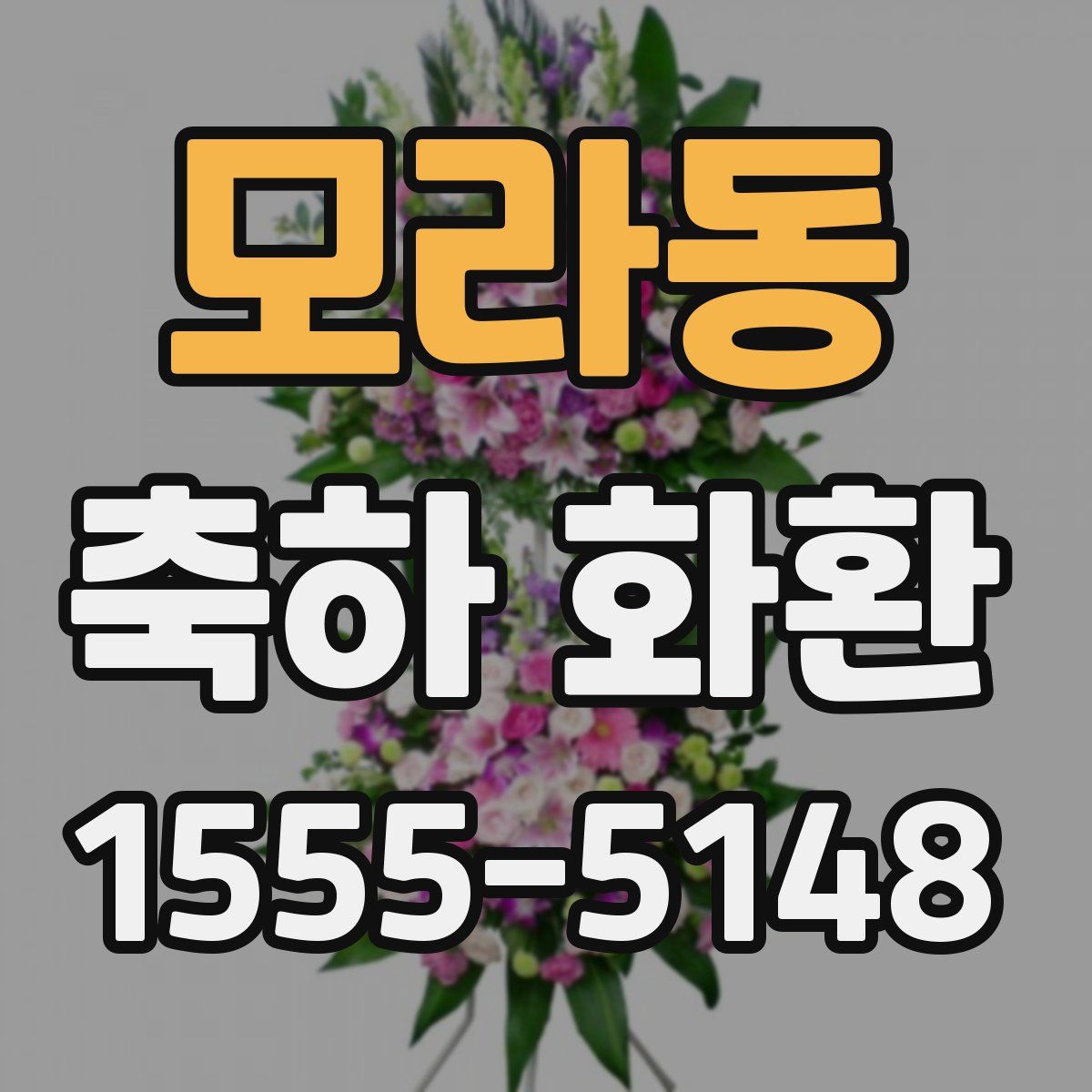 모라동 축하 화환