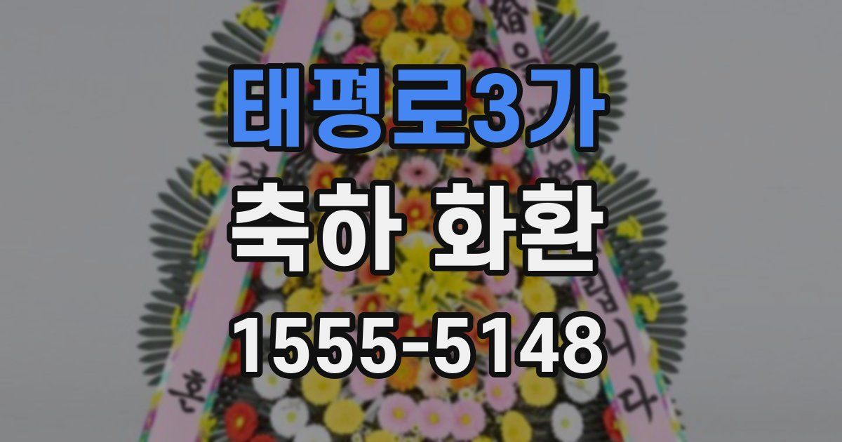 태평로3가 축하 화환