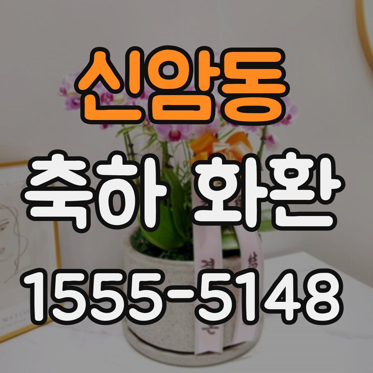 신암동 축하 화환