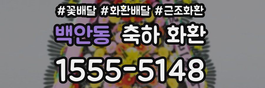 백안동 축하 화환