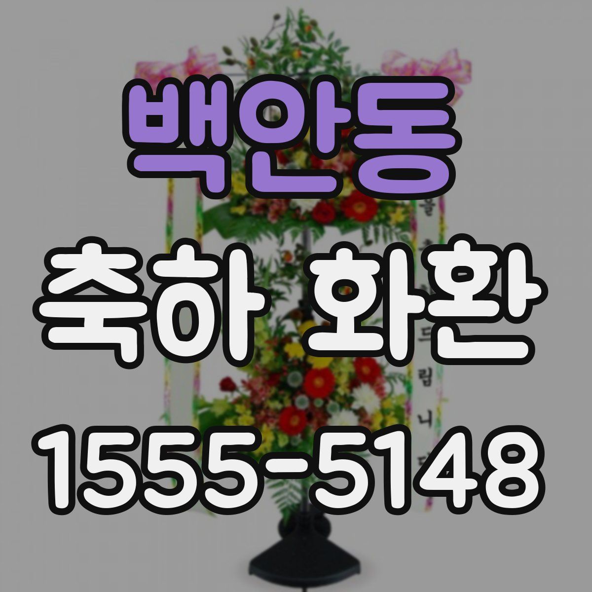 백안동 축하 화환