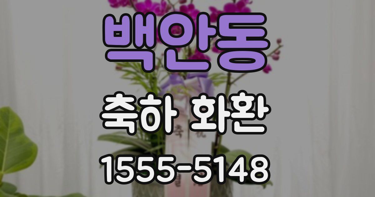 백안동 축하 화환