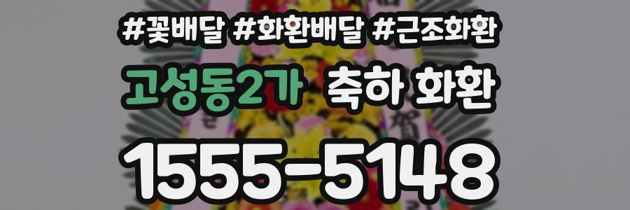 고성동2가 축하 화환
